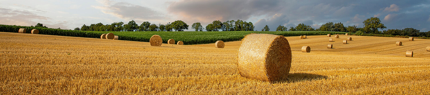 Ambiance Rapido Serie C