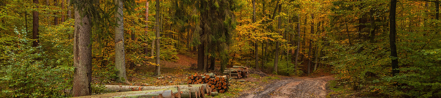 Ambiance Rapido Serie 6F