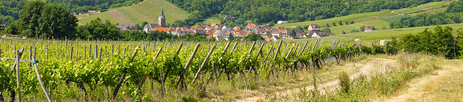 Ambiance Rapido Serie C